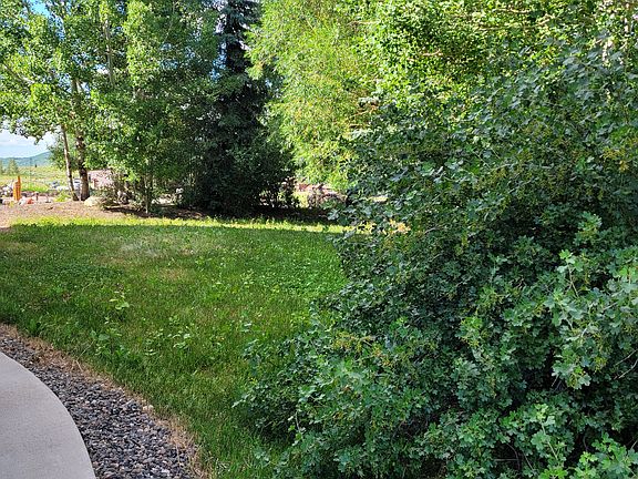 Back yard.