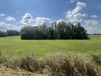 0 Gum Springs Mountain Rd, Walling, TN, 38587