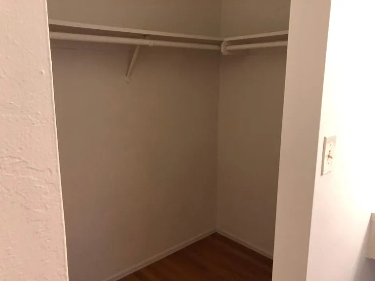 Closet in Master