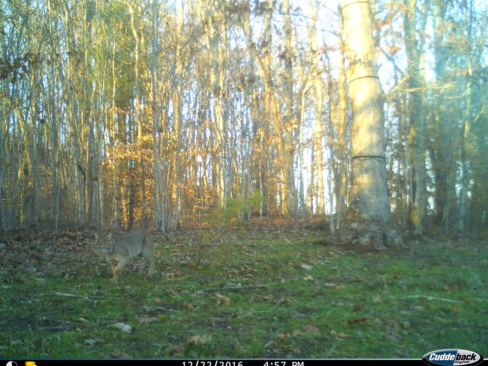 1st image of Lower Gallaher Rd
