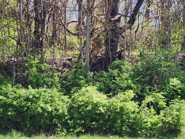 2nd St, Radford, VA 24141