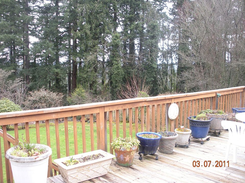 BACK DECK