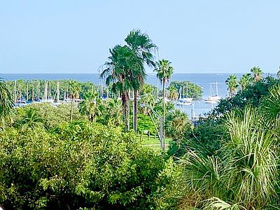 1st image of 2843 S Bayshore Dr APT 6A