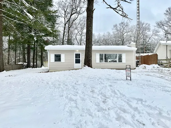 5293 E Stray Dr, Newaygo, MI 49337