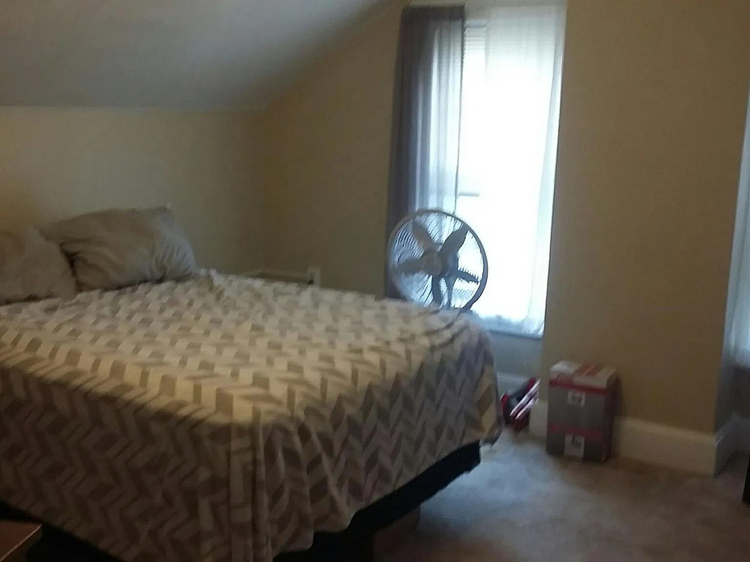 2 bed, 700 sqft, $775 — Photo 3
