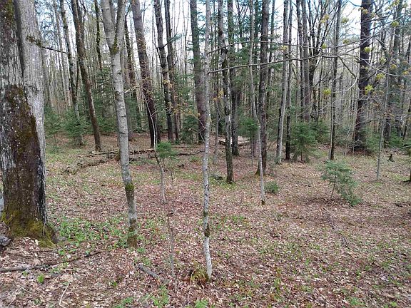 5th image of 258 Hillside Road