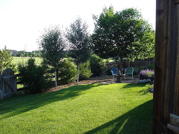Back yard, pic facing west