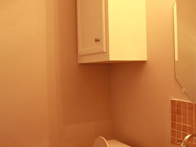 3703 Main Poplar Dr — Photo 19