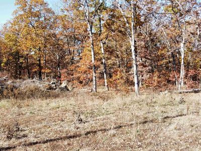 Whitetail Way, Lincoln, MO, 65338
