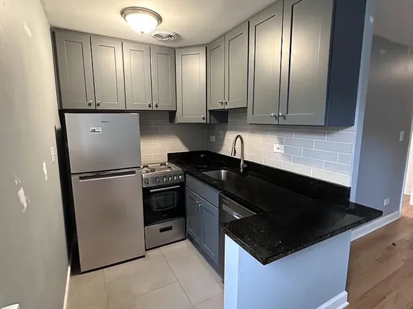 663-102 W Grace St, Chicago, IL