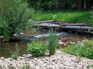 148 Beavers Lodge Rd, Winter Park, CO 80482