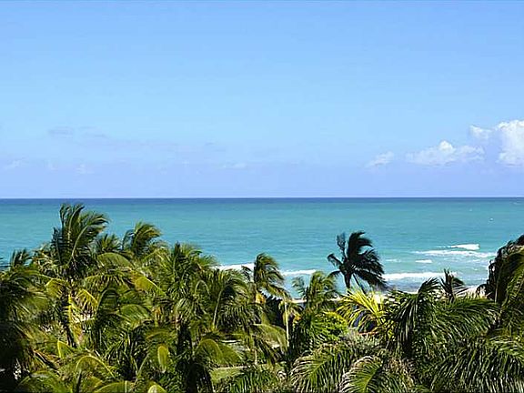 2nd image of 6799 Collins Ave APT 409