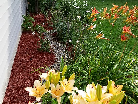 Flowers Bloom All Summer