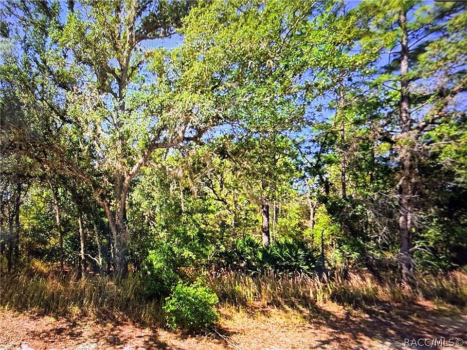 1st image of 2722 W Pine Ridge Blvd