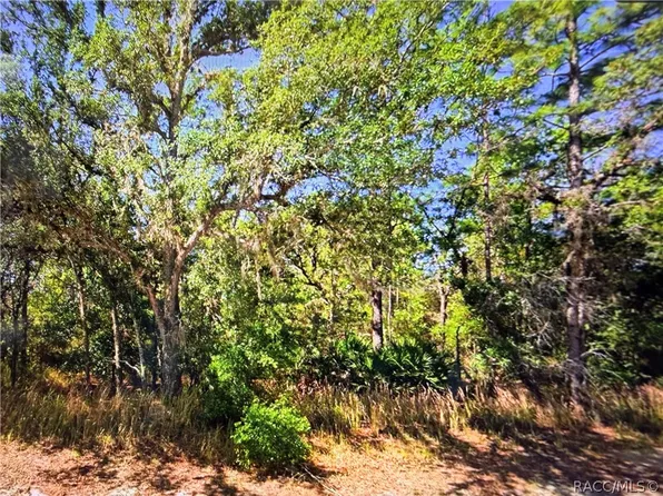 2722 W Pine Ridge Blvd, Beverly Hills, FL 34465