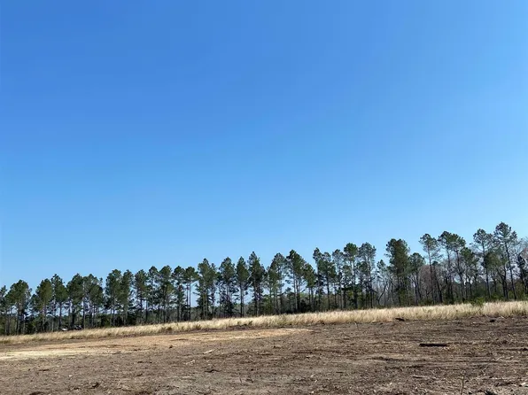 8736 W Highway 19 Lot 7, Loris, SC 29569