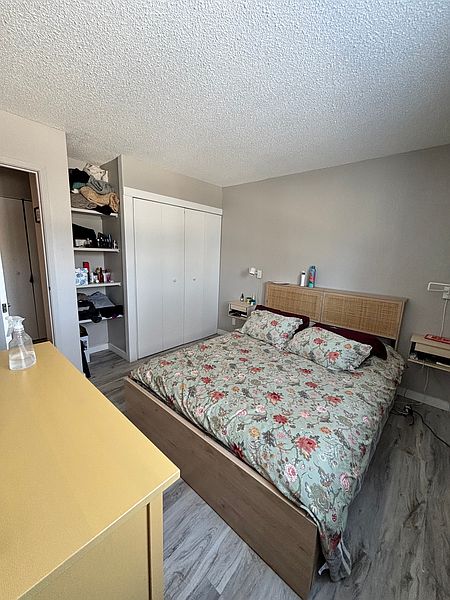 Winnipeg Apartment for rent - 1 Bedroom — photo 2