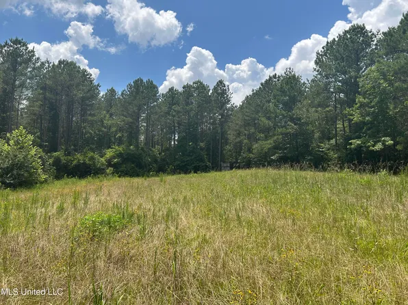 George Warren Rd, Brandon, MS 39042