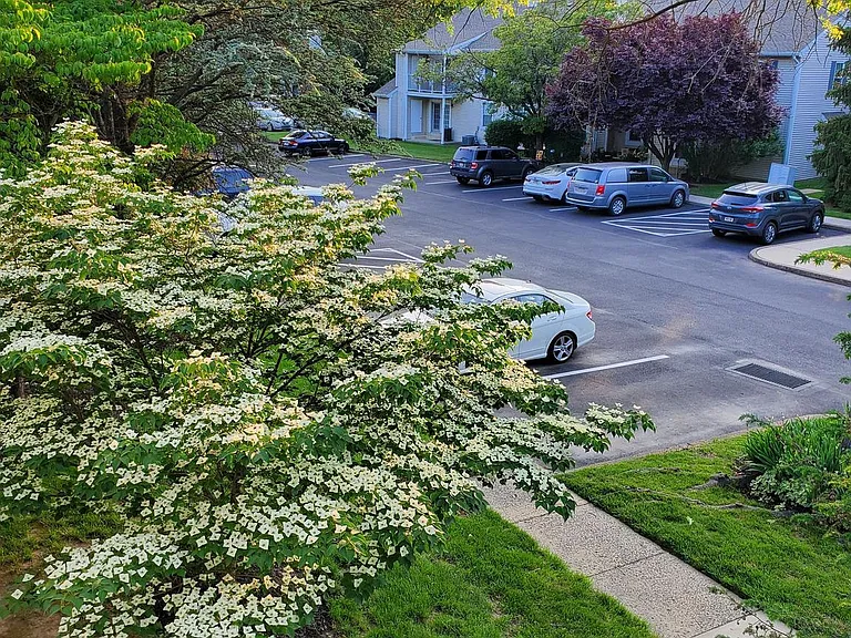 66 Belmont Sta — Photo 14