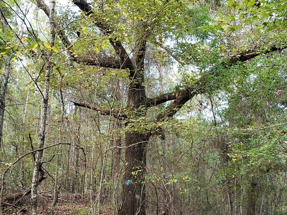 1st image of Banks Creek Dr #2