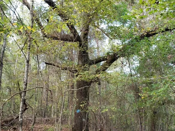 Banks Creek Dr #2, Woodstock, AL 35188