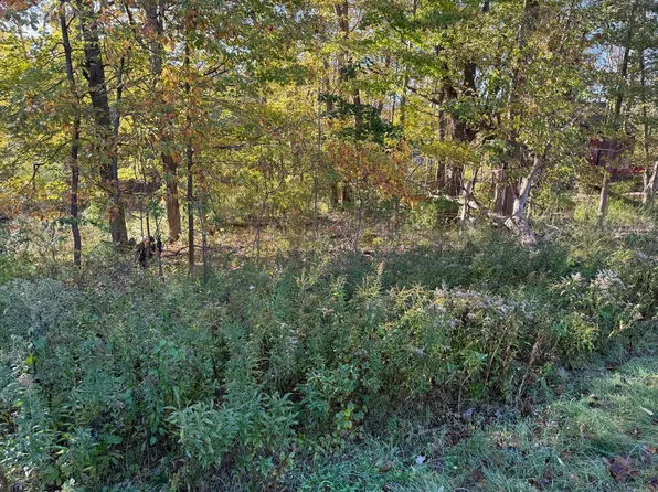 PARCEL Red Arrow Hwy #B, Harbert, MI 49115