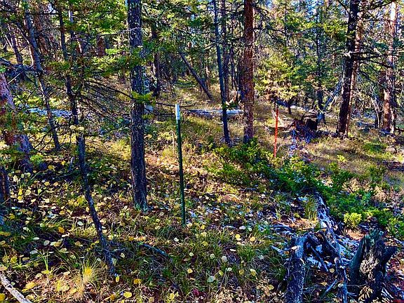 5th image of Tract 7 South Beaver Cow Camp