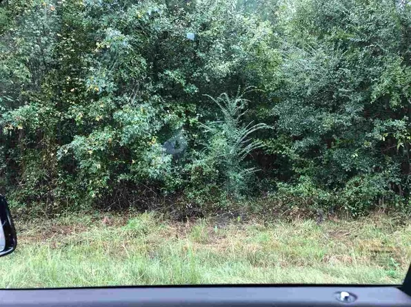 230 County Road 114, Gaylesville, AL 35973