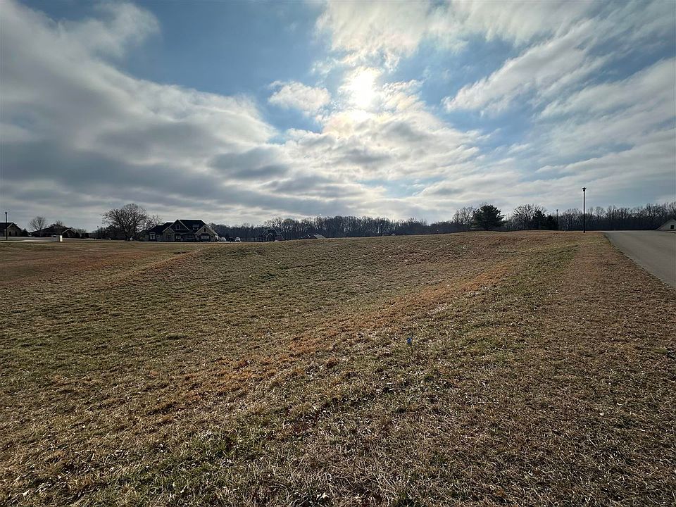 2nd image of 33 The Trace Dr