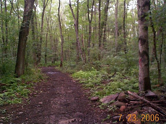 Path through property