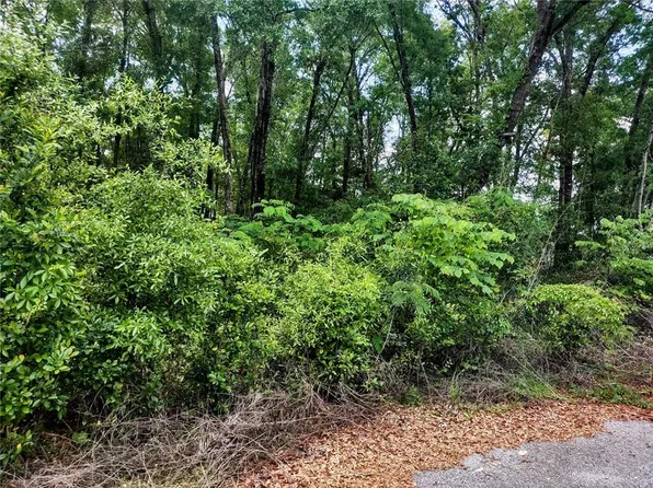 TBD NE 12TH LANE LOT 10, WILLISTON, FL 32696