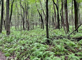 Mine Gap Rd, Catawissa, PA 17820