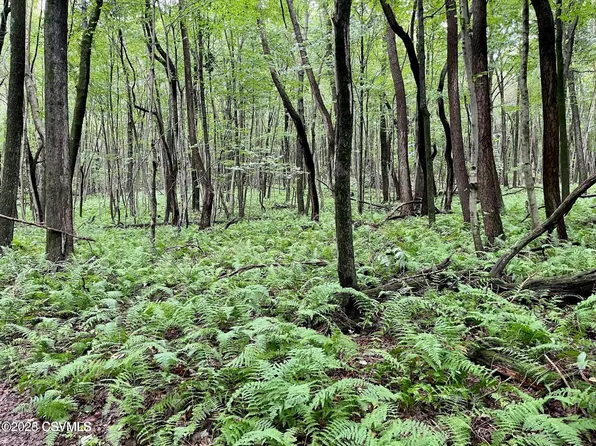 Mine Gap Rd, Catawissa, PA 17820