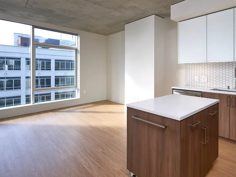 Kitchen and Living Area
