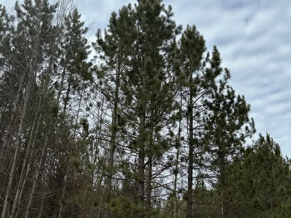 Prairie Rapids Rd Tract 2051, Tomahawk, WI 54487