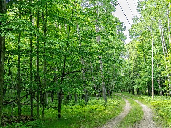 2nd image of LOT 4 White Cliff Woods Ln