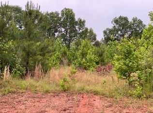 LOT 18 County Line Rd, Midland, GA 31820