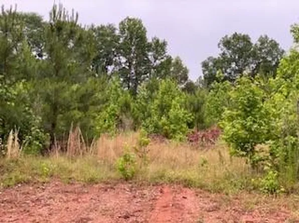 LOT 18 County Line Rd, Midland, GA 31820