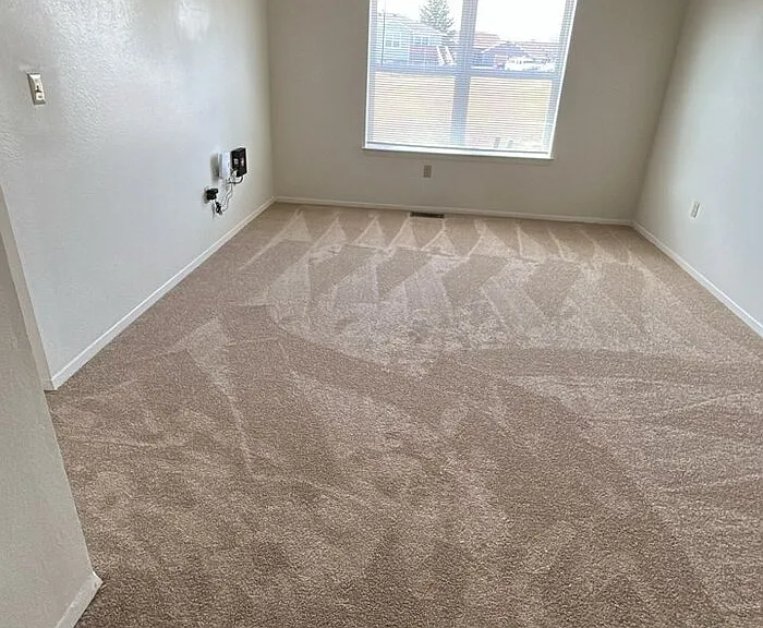 405 Mickelson Ct — Photo 3