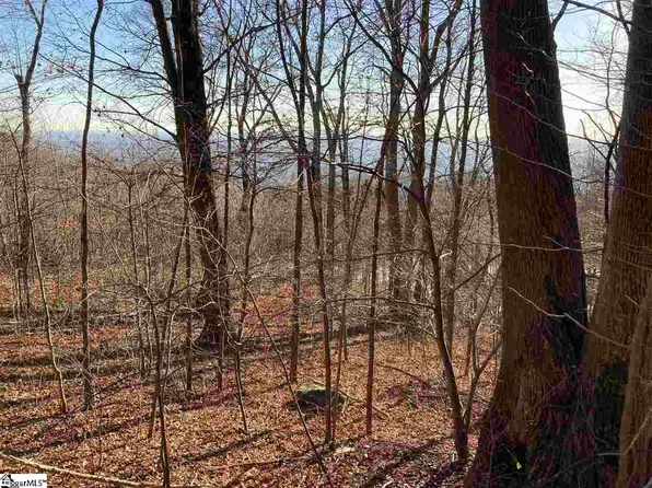 Stonesthrow Dr Lot 130, Landrum, SC 29356