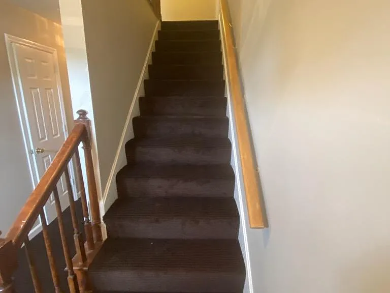 3155 High Ridge Dr — Photo 12