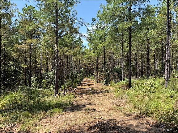 3rd image of 0 County Road 100