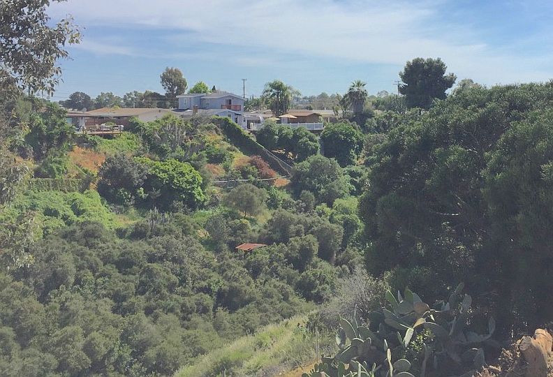 1st image of 4923 Mount Ashmun Dr