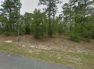 1334 W Newbury St, Citrus Springs, FL 34434