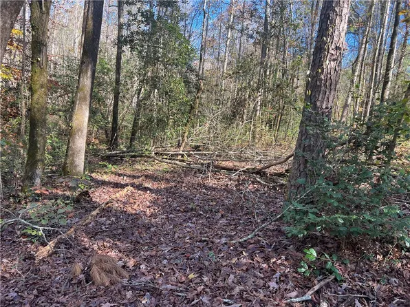 0 Morton Dr, Westminster, SC 29693
