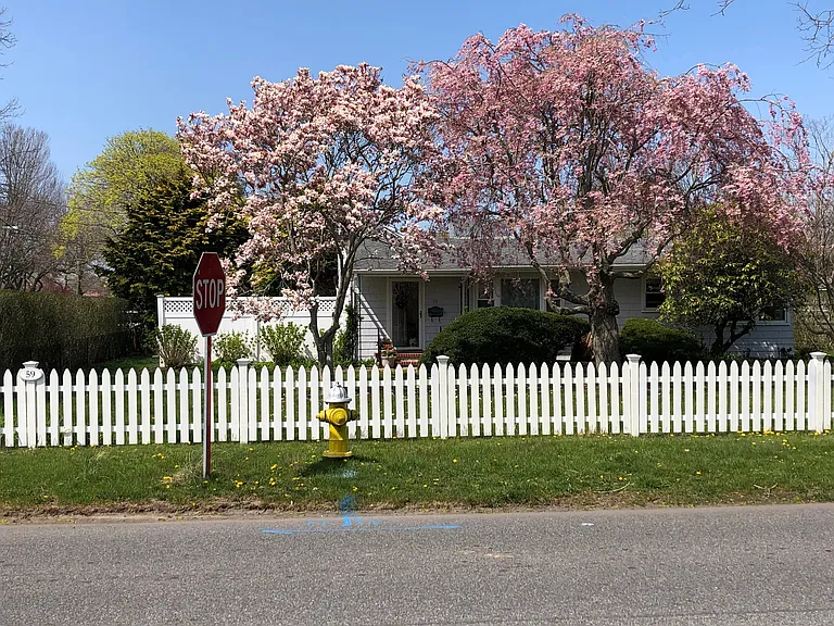 59 Willow St — Photo 1