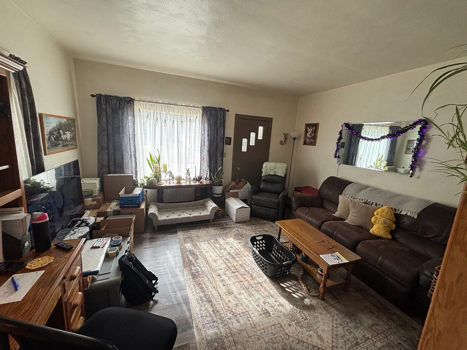 10 Mingo St photo 1