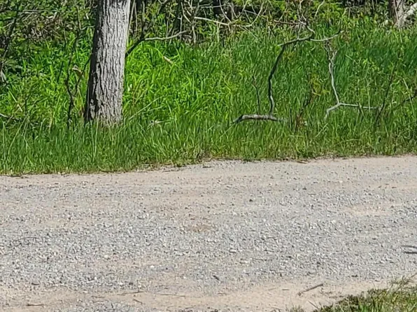 Werth Rd, Alpena, MI 49707