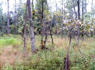 Willis Rd., North Branch, MI 48461