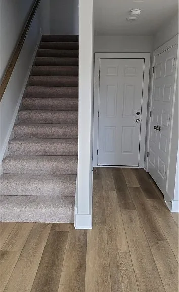 10123 Blue Wing Ln — Photo 10